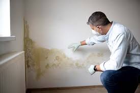 Best HVAC Mold Inspection and Cleaning  in Chillum, MD